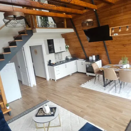 Villa Ambiance Aframe Câmpulung Moldovenesc Exterior foto