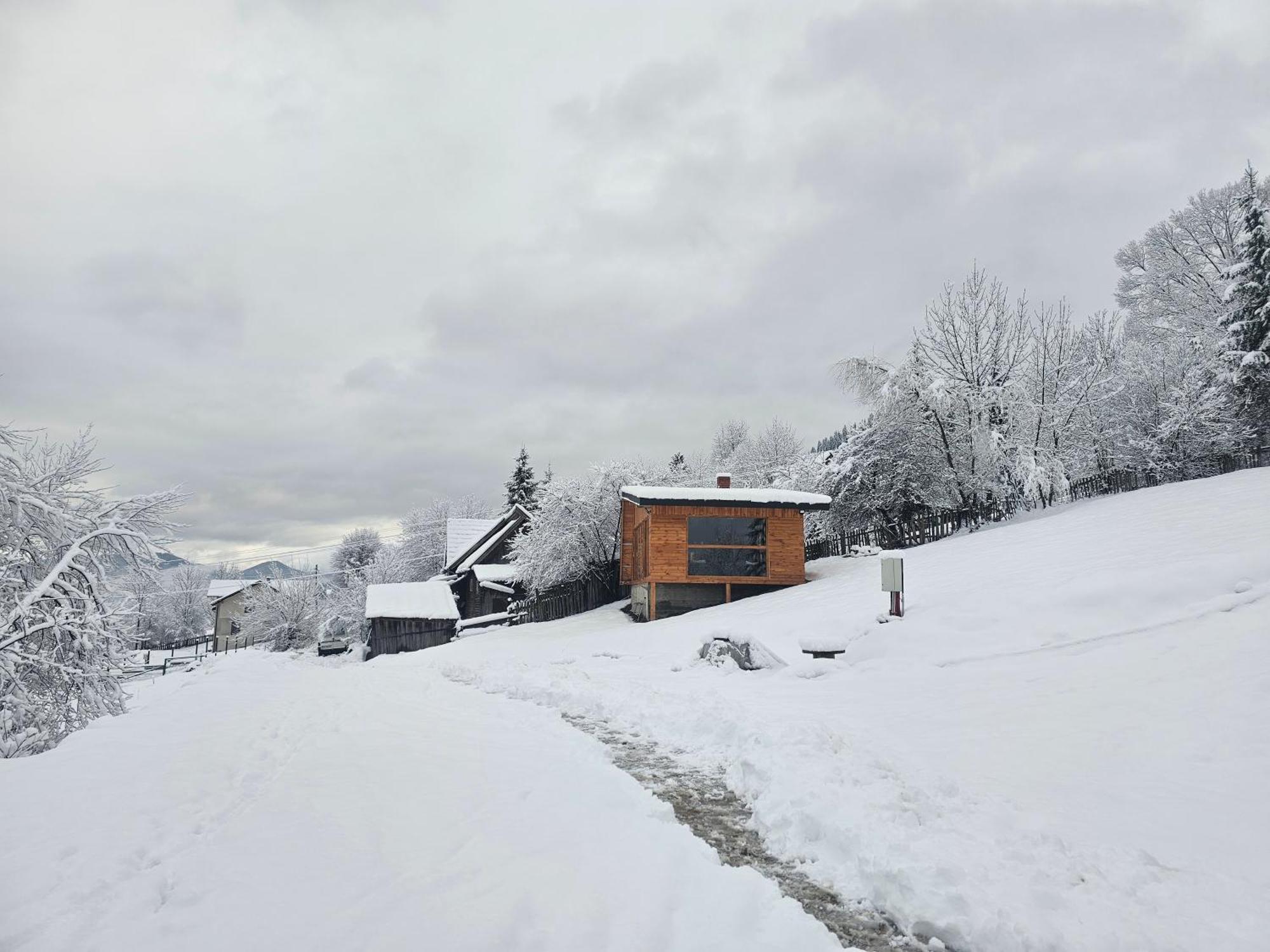 Ambiance Aframe Campulung Moldovenesc